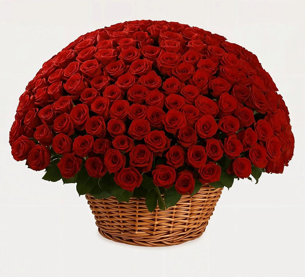 Премиум букет из: Розы в Хасанье