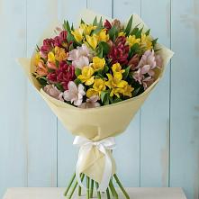 Букет цветов из:  Альстромерии в Хасанье