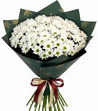 Букет цветов из:  Хризантемы в Хасанье