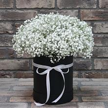 Цветочная композиция из Гипсофила в шляпной коробке в Хасанье