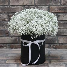 Цветочная композиция из Гипсофила в шляпной коробке в Хасанье