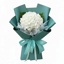 Букет цветов из:  Гортензия в Хасанье